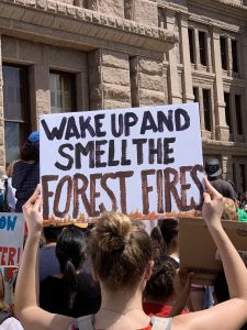 wake up and smell the forest fire